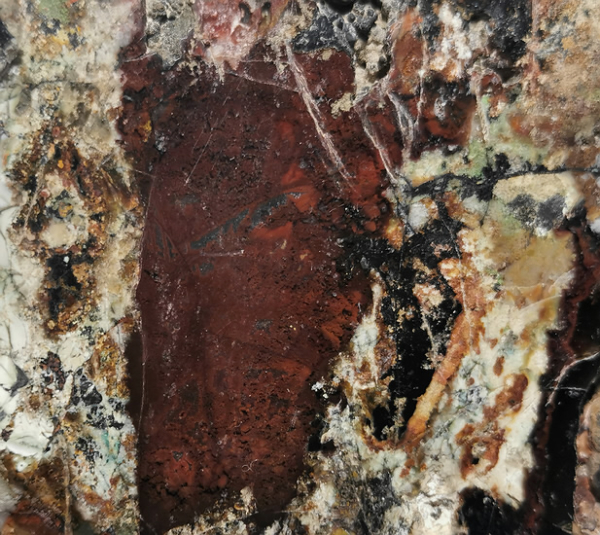 Opaliced,Petrified,Wood,opalisiert,versteinertes Holz,Heilstein,poliert